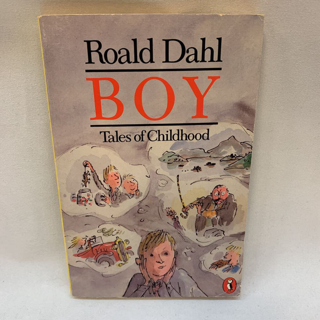 Boy - Tales of Childhood