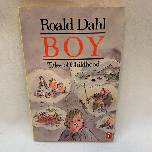 Boy - Tales of Childhood