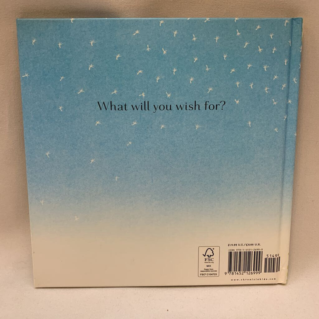 I Wish You More