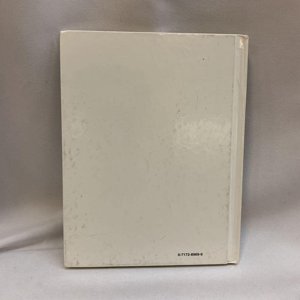 Millennium First Year Book 2000