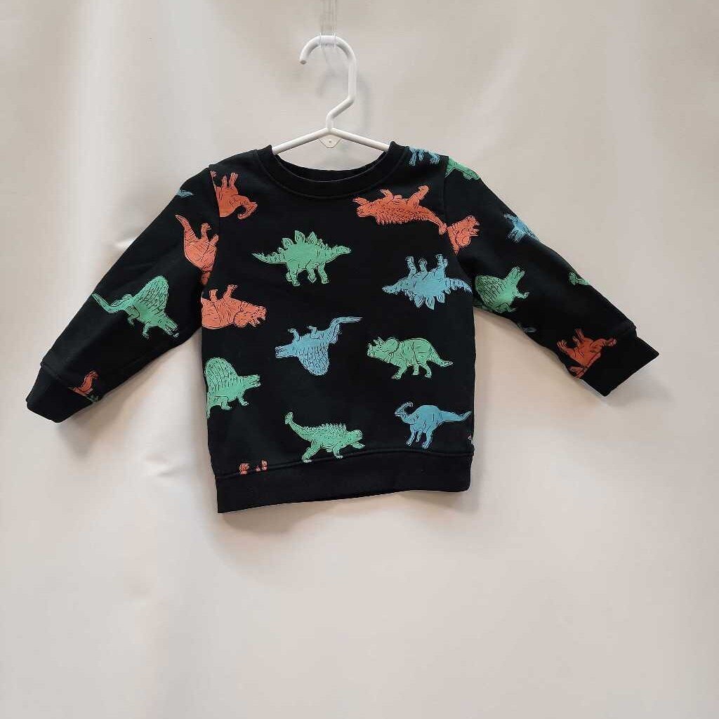 Sweatshirt: Dinosaur Long Sleeve