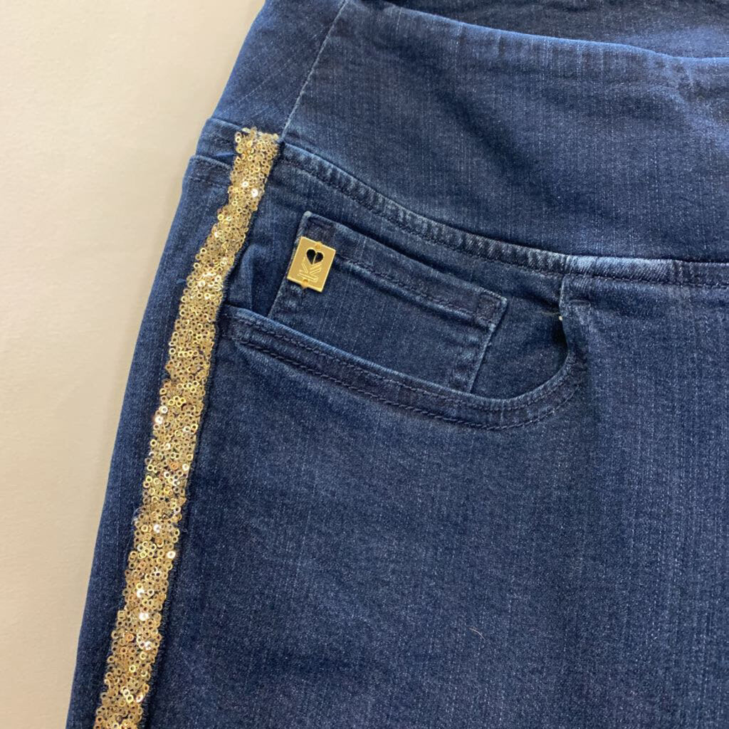 Pants: Denim Petite Sequin