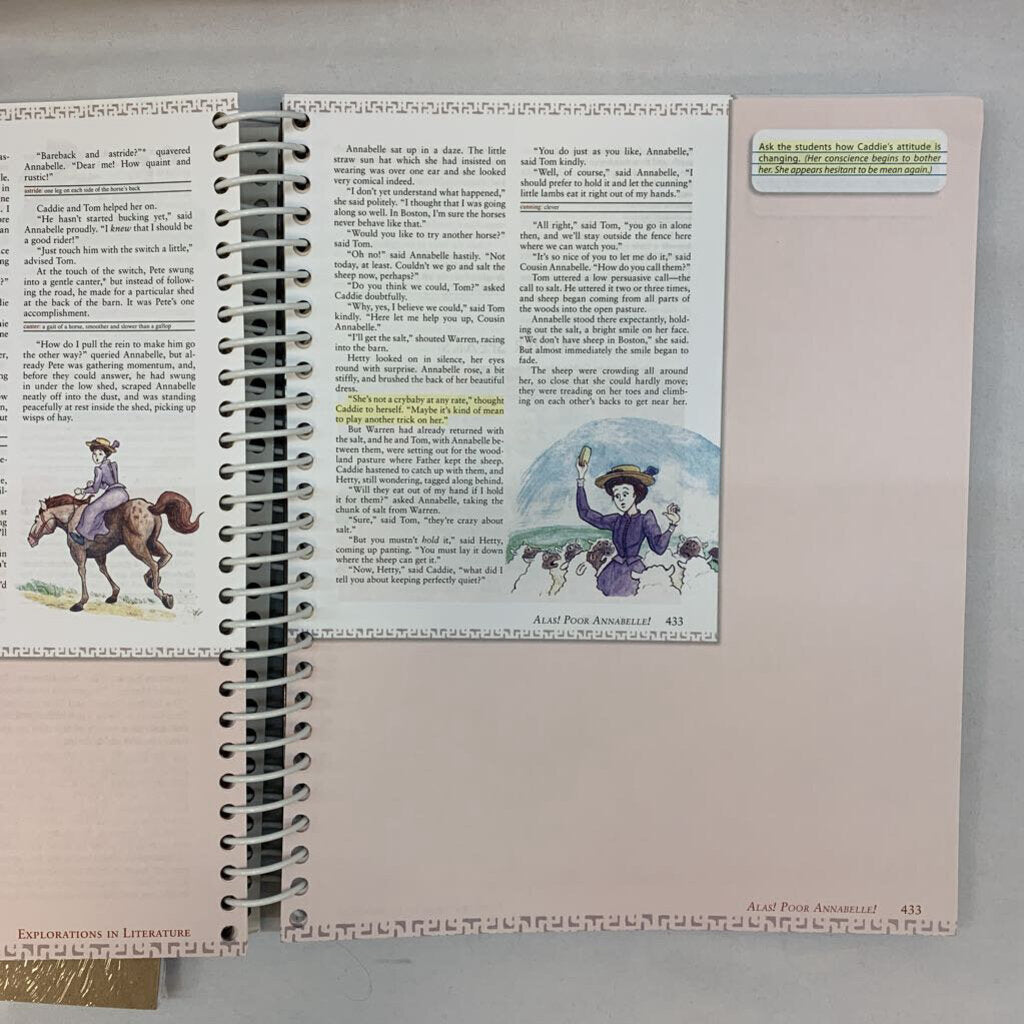 Explorations in Literature Book B