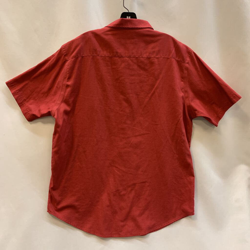 Shirt: Button-Down Collared Solid
