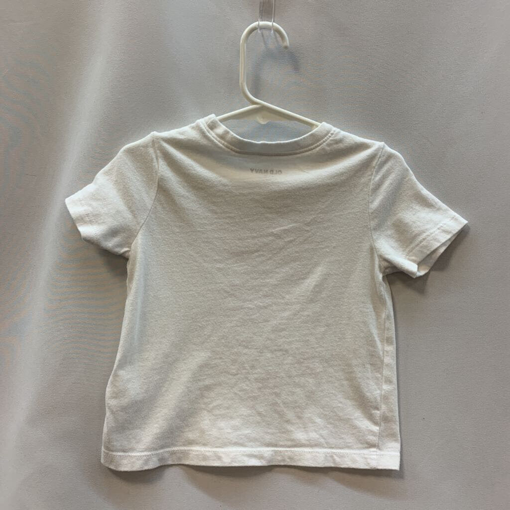 Shirt: Flamingo