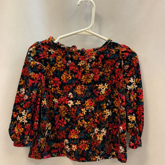 Long Sleeve Shirt: Velvet Floral