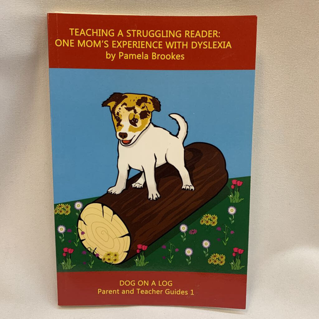 Teaching A Struggling Reader